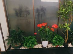 -洞庭家宴·头牌甲鱼(广渠门店)