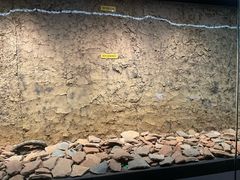 -盘龙城国家考古遗址公园