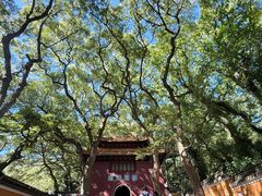 -普陀山风景名胜区-法雨禅寺