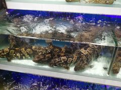 -盒马鲜生(红莲店)
