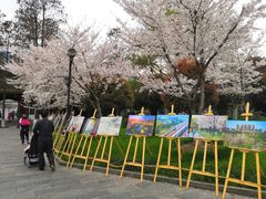 -堤角公园
