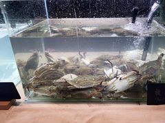 -长沙三景韦尔斯利酒店·Oval全日制餐厅自助餐