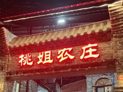 -桃姐农庄老字号(从化温泉店)