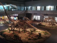 -自贡恐龙博物馆