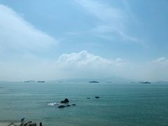 -八婆婆烧仙草(中山路店)