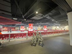 -冰世界真冰场(欢乐汇店)