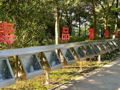 -火炉山森林公园