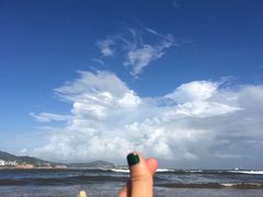 -枸杞岛