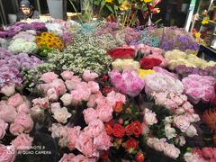 -曲阳花鸟市场(曲阳路店)