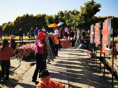 -广东花都香草世界旅游度假区