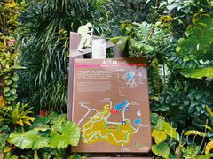 -深圳仙湖植物园