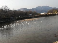 -西溪南古村落