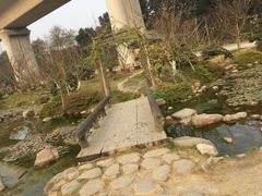-秀丽东方