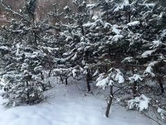 -终南山南五台景区