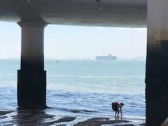 -演武大桥观景平台