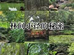 -杭州黄龙洞