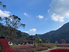 -广州市石门国家森林公园