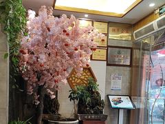 -杏花村水席楼·洛阳水席(老城十字街店)