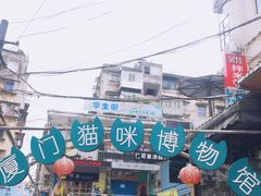 -猫咪博物馆(顶澳仔猫街店)