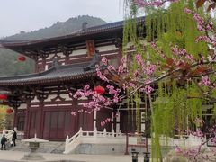 -华清宫景区