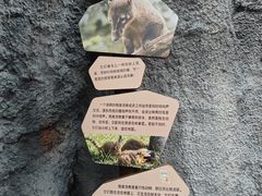 -武汉动物园