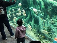 -哈尔滨波塞冬海底世界