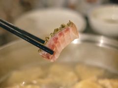 -正能量脆肉鲩火锅