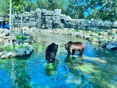 -北京野生动物园
