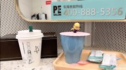 点击看大图 -PE SALON