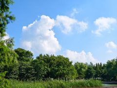 -同里国家湿地公园