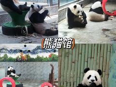 -西安秦岭野生动物园