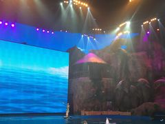 -芜湖新华联大白鲸海洋公园