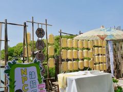 -天目湖山水园