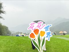 -玉渡山自然风景区
