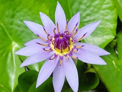 -北京植物园-展览温室