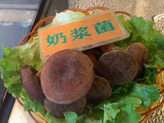 -易门野生菌府·菌海森林(月牙潭公园店)