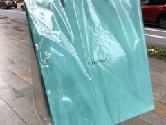 -Tiffany & Co.(银座本店)
