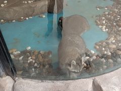 -洛阳龙门海洋馆