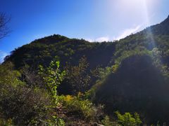 -仙居谷风景区