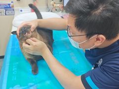 -芭比堂动物医院·CT·微创中心(新顺分院)