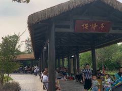 -枫香湖儿童公园