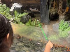 -正佳雨林生态植物园