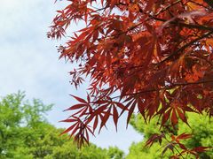 -苏州上方山国家森林公园