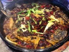 -老板恋上鱼(恒隆广场店)