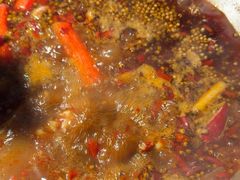 -味之绝热血美蛙鱼火锅(中坝店)