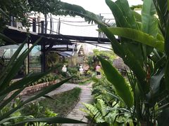 -Ohkajhu Organic Farm Sansai