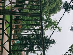 -菊花台公园