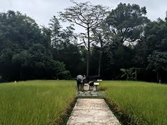 -东澳岛