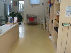 -芭比堂动物医院·犬猫全科·异宠专科(雁塔分院)