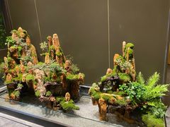 -梅间堂茶馆(绿地缤纷城店)